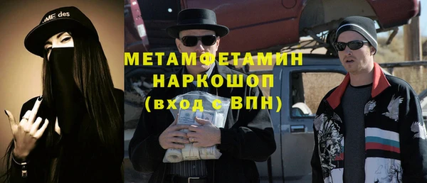 шишки Дубна