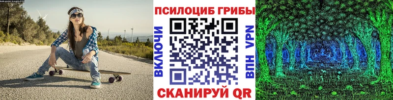 Купить  Дно  Галлюциногенные грибы Magic Shrooms 